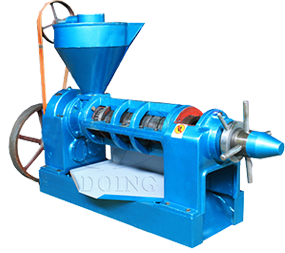 Screw oil press